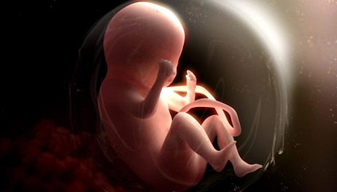 Ungeborene reagieren schon im Mutterleib auf Berührungen und Stimmen.