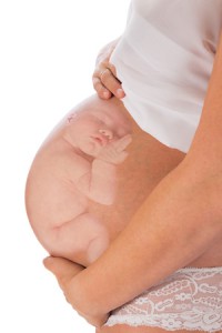Ausgewachsenes-Baby-im-Mutterbauch-vor-der-Geburt-SSW-34-35