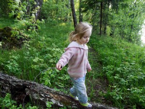 Ein Kind entdeckt den Wald.