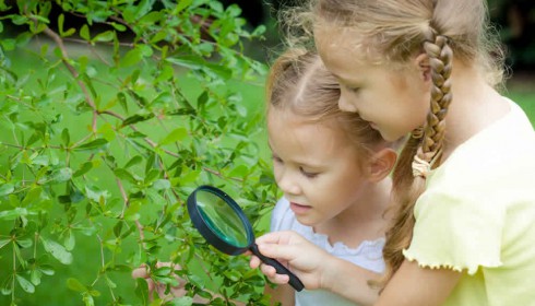 Mädchen untersuchen einen Busch mit einer Lupe.